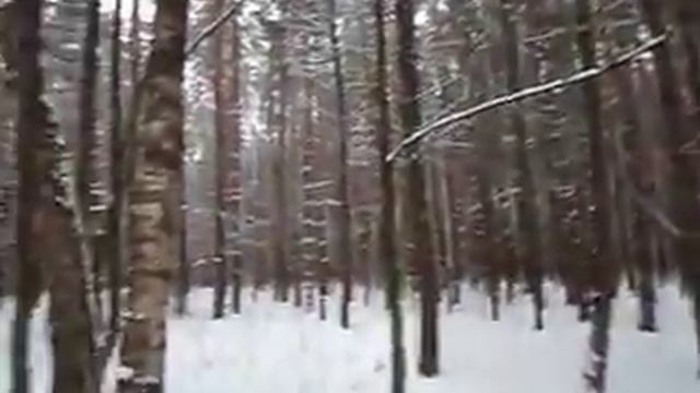 Зеленоград смотреть онлайн