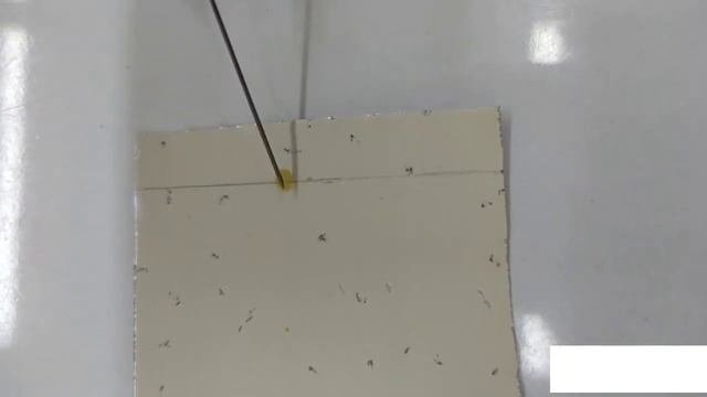 Хроматографические методы анализа