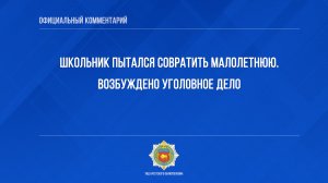 Школьник пытался совратить малолетнюю. Возбуждено уголовное дело