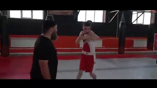 Секция Бокса смотреть онлайн