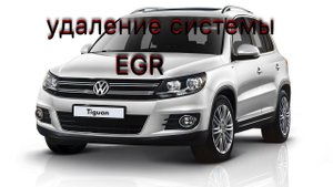 VW Tiguan: программное отключение EGR от АДАКТ