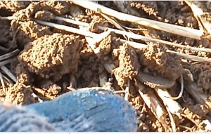 Выход со своими сюрпризами и огорчениями