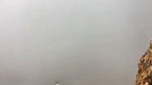 Камень дракон для аквариума на 2 метра