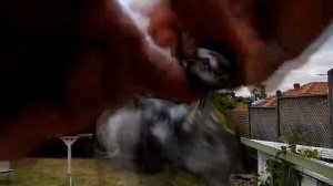 Daiwa capricorn  2000