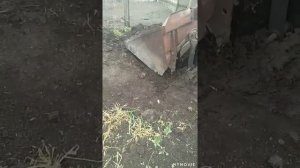 продам трактор МТЗ в Омске