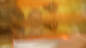 Почему черепаха не ест?????