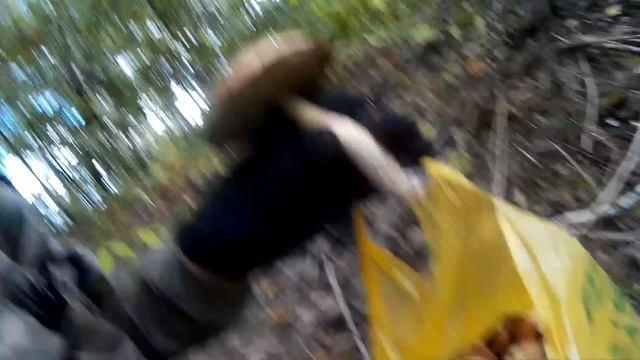 Подтопольники смотреть онлайн