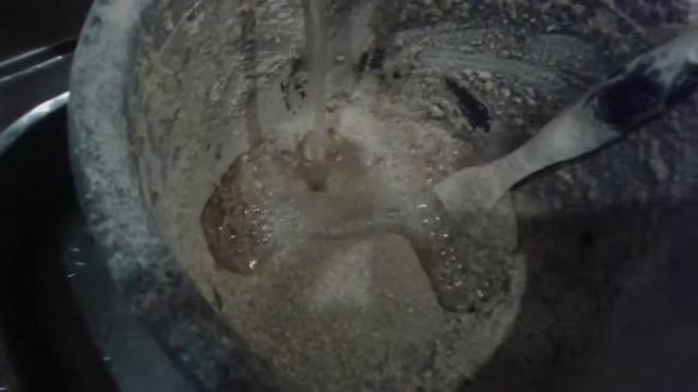 кормление беременной вьетнамской свинки смотреть онлайн