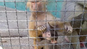 Олег Зубков: о ситуации в Тайгане