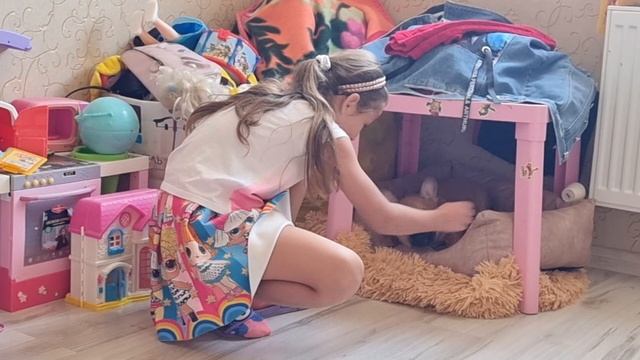 Вы только посмотрите на этого смешного щенка бульдога! смотреть онлайн