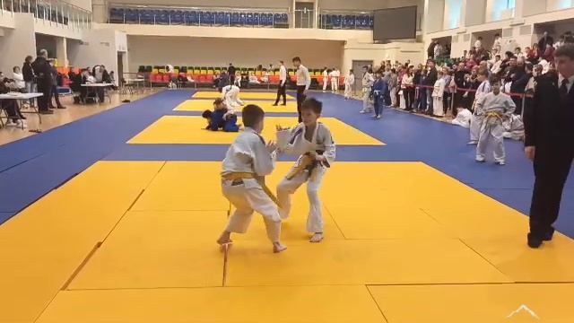 Турнир по дзюдо "Крещение 2020" смотреть онлайн