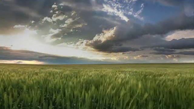 Игорь Слуцкий ТОЛЬКО ТЫ ОДНА автор ролика Галина Караго смотреть онлайн