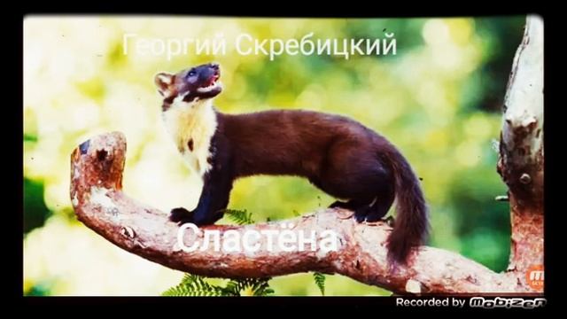 СЛАСТЁНА ? рассказ ? аудио ? автор Геогий Скребицкий ?