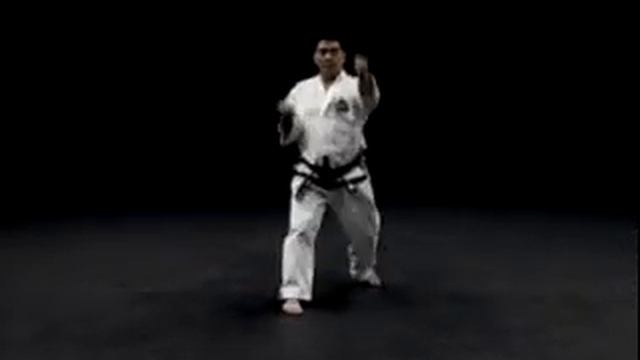 22 A Черный пояс 5 й дан Туль Со Сан смотреть онлайн