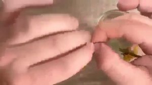 Всё про одуванчик.