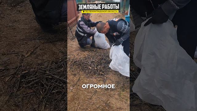 Как сэкономить при вывозе растительного мусора с участка | спил СПБ #вск #дача