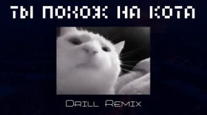 ты похож на кота (drill remix)