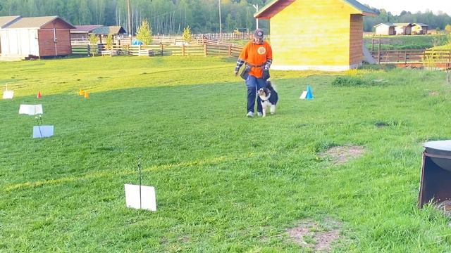 Дебют, Сметанина Татьяна, бк Дрима «Кубок Панды 2023 по ралли обидиенс онлайн смотреть онлайн