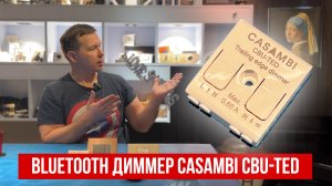 Casambi CBU-TED универсальный Bluetooth диммер
