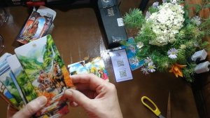 Таро Аида. Распаковка, краткий обзор