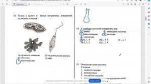 тесты по биологии-10 класс/испытательные/2024 года/экзамен5