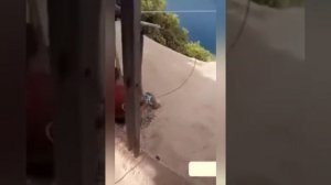 Денис, улыбнись и баба на коне. Смешные мемы и лютые приколы