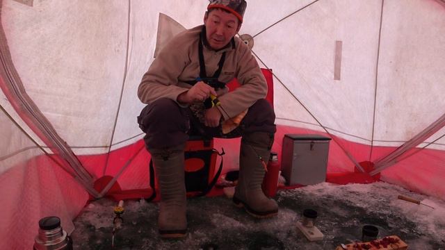 Едем за Арктическим Гольцом! смотреть онлайн