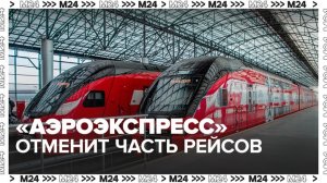 "Аэроэкспресс" отменит часть рейсов во Внуково 18 и 19 февраля - Москва 24