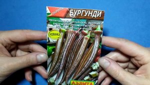 Бамия или Окра. Африканский овощ. Что это? Как вырастить?