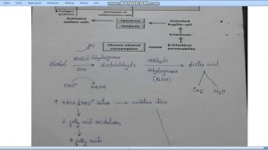 Alcoholic liver disease (ALD).