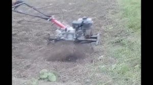 Особливості прополки міжрядь гарбуз  мотоблоком Weima 1100C-6 / Обработка междурядий мотоблоком