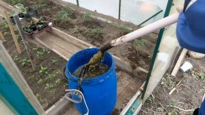 Как подготовить грядки под огурцы в открытом грунте!