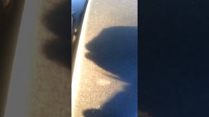 Свист(писк)на холодную при отрицательных температурах, гранта 127 двигатель