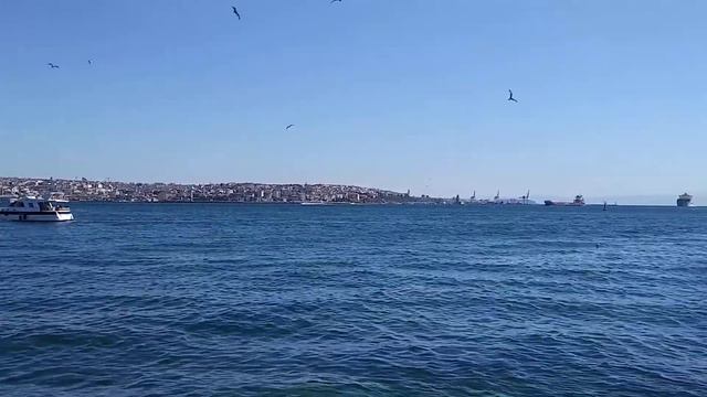 Безмятежность.Стамбул.Турция.Весна.Istambul.Путешествие.Приключения. смотреть онлайн