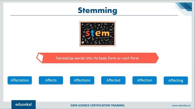 Natural Language Processing (NLP) Tutorial with Python & NLTK