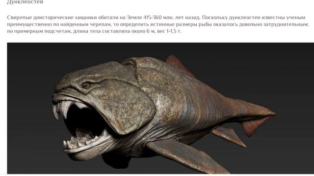 Древние обитатели морей и океанов .