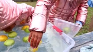 BOBBING APPLES FAMILY CHALLENGE!!