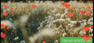 кусочек счастья)) из ролика "С Днём рожденья, любимый мой!"