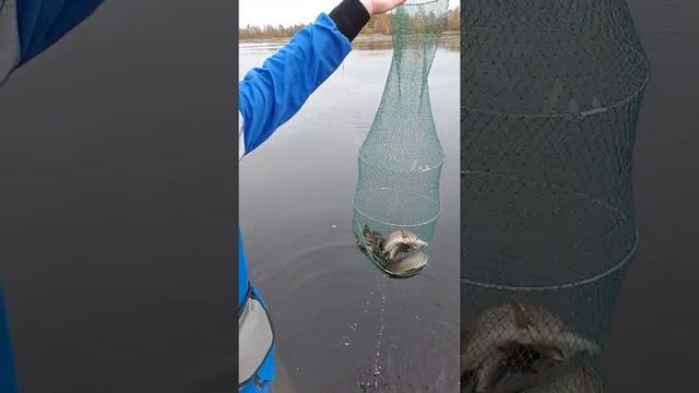 Рыбалка Пограничное ЯНАО. смотреть онлайн