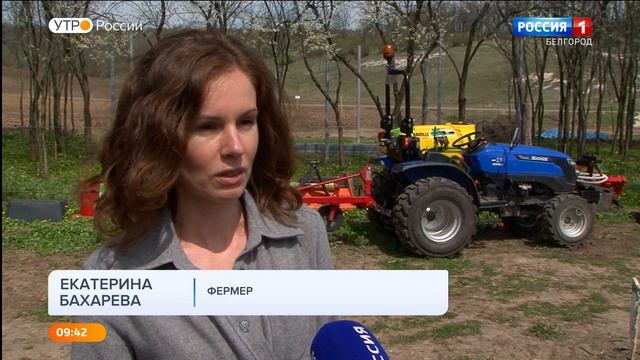 Как в Шебекинском районе выращивают спаржу смотреть онлайн