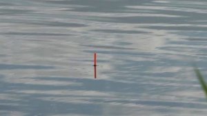 Добавляю в червей для рыбалки и всегда клюёт вся рыба! Секреты опытных рыбаков