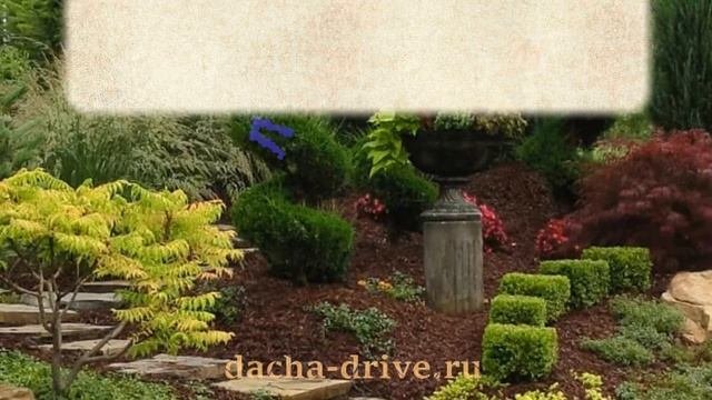 Многолетние цветы названия, описание, фото