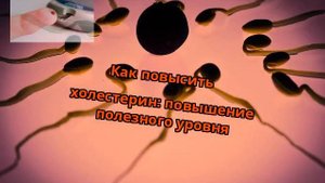 Как повысить холестерин: повышение полезного уровня