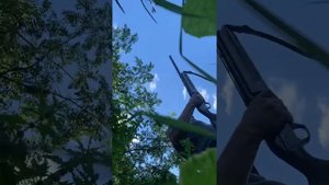 А утки летят уже высоко, я им помашу рукой!