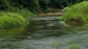 Турки, Саратовская область