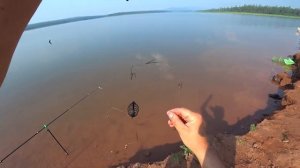 ЛЕЩ НА ФИДЕР !!! НА РЫБАЛКУ С СЫНОМ !!! НЕПЛОХИХ ЛЕЩЕЙ ПОЛОВИЛИ !!! БРАТСКОЕ ВОДОХРАНИЛИЩЕ.