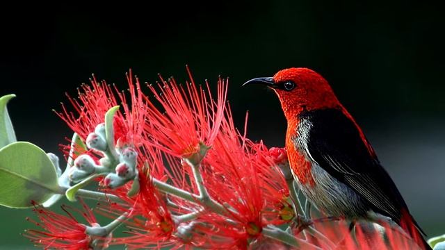 Музыка без слов для души Андрей Обидин смотреть онлайн