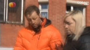 Такса. Собака тянет поводок. Собака в доме.