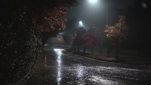 한적한 외곽도로에 내리는 부드러운 빗소리, 불면증 극복에 딱 맞는 백색소음 смотреть онлайн