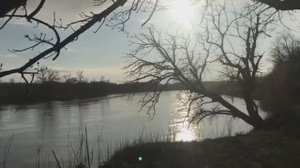 ЗВУКИ ПРИРОДЫ _ ХОПЕР _ РАДУГА (1).mp4